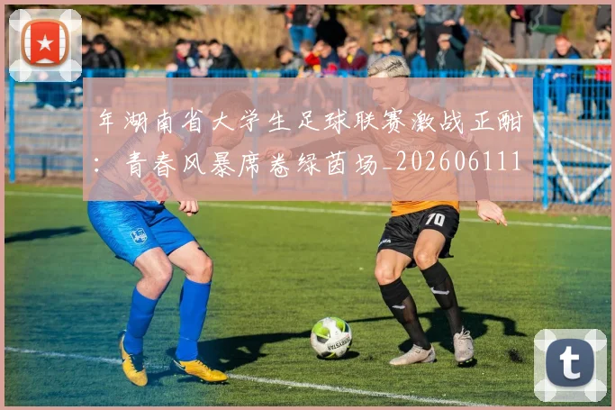 年湖南省大学生足球联赛激战正酣：青春风暴席卷绿茵场_20260611132715